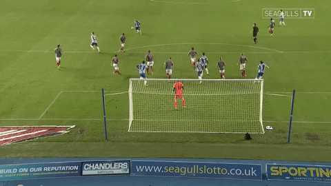 Soccer Futbol GIF by Brighton & Hove Albion Football Club