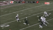 Big Hit Usf GIF by SoFloBulls