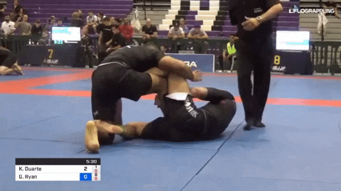 chasesmithflo giphygifmaker GIF