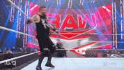 Sport Wwe GIF by USA Network