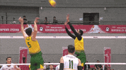 Argentina Point GIF by Volleyball World