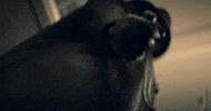 Horror Kino GIF by Sony Pictures Germany