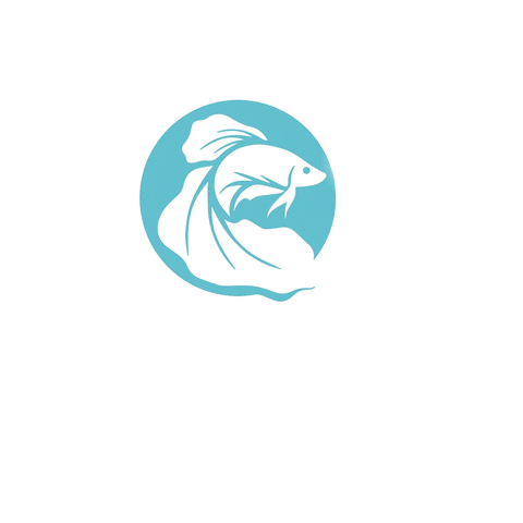 AquariumMe giphyupload happy logo instagram GIF