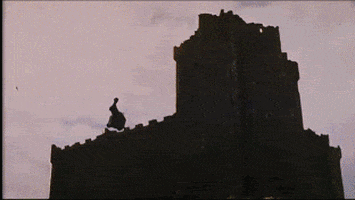 flying monty python and the holy grail GIF by Cheezburger