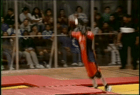 slam ball GIF by SLAMBALL on GIPHY