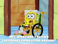 season 6 GIF by SpongeBob SquarePants