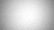 huskieswels defense huskies wels huskieswels GIF