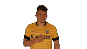 Logo Smile Sticker by SG Dynamo Dresden