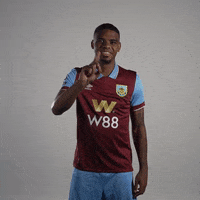 South Africa No GIF by Burnley Football Club