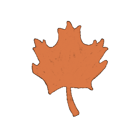 MidwestHouse giphygifmaker fall leaf leaves Sticker