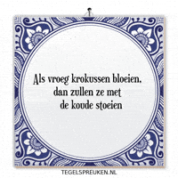 Hoop Wijsheid GIF by Tegelspreuken.nl