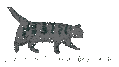 Cat 歩く Sticker