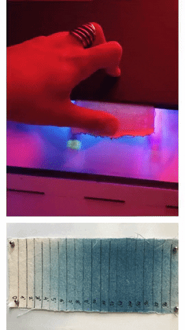 linalopes  GIF