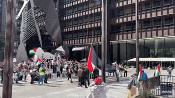 Palestinian Flag Raised in Chicago for 76th Anniversary of Nakba