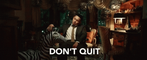 p_lo giphyupload animal zebra precious GIF