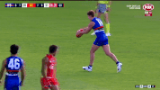 2018 season football GIF by AFL