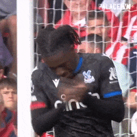 Applaud Crystal Palace GIF by Crystal Palace Football Club