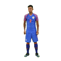 indianfootball bluetigers Sticker by Indian Super League