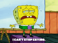 season 5 episode 13 GIF by SpongeBob SquarePants