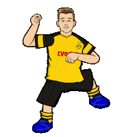 happy borussia dortmund Sticker by Bundesliga