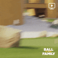 season 3 facebook watch GIF by Ball in the Family