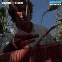Confused Oh No GIF by Arrow Video