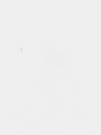 matthias brown no tracing GIF by TraceLoops