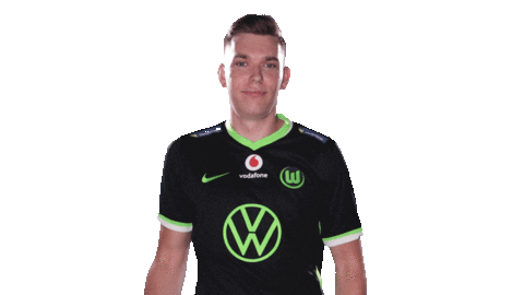 E Sports Sport Sticker by VfL Wolfsburg