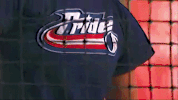 national pro fastpitch softball GIF by USSSA Pride