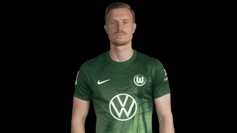 Germany No GIF by VfL Wolfsburg