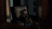 Turning Living Doll GIF by Brahms: The Boy 2