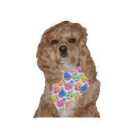 Cocker Spaniel Lady Sticker by Geekster Pets
