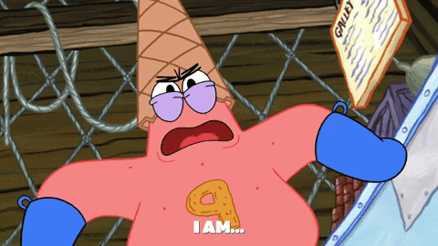 season 9 gary's new toy GIF by SpongeBob SquarePants