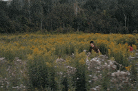 Flowers Running GIF by CanFilmDay