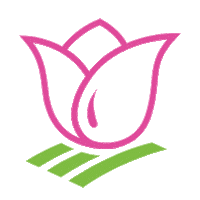 hollandridgefarms sunflower holland tulip tulips Sticker