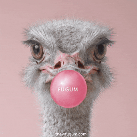 Bubblegum Ostrich GIF by Fugum