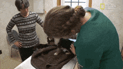 the incredible dr pol season 12 episode 8 GIF by Nat Geo Wild 