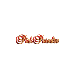 Santa Claus Christmas Sticker by pinkparadise