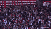 King Of The North GIF by YILPORT SAMSUNSPOR