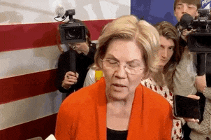 Bernie Sanders GIF by Election 2020