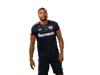 Bayer 04 Peace Sticker by Bayer 04 Leverkusen