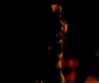 Young Jeezy GIF by Kanye West