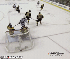 nhl GIF by SB Nation