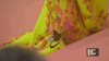 serena williams met gala 2019 GIF by E!