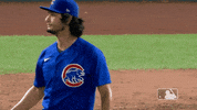 Regular Season Sport GIF by MLB