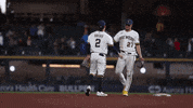 Major League Baseball Hug GIF by MLB