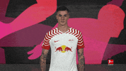 No Way Football GIF by Bundesliga