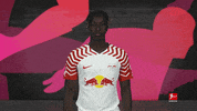 No Way Football GIF by Bundesliga
