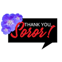 DearDelta dst 1913 thereds deltasigmatheta Sticker