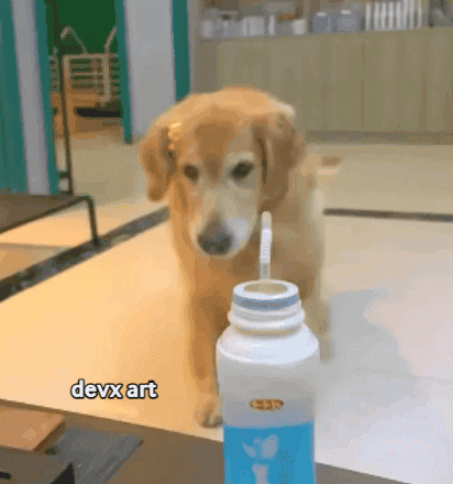 Dog Drinking GIF by DevX Art